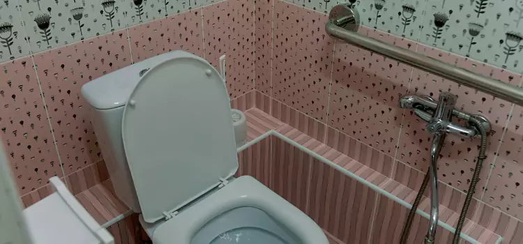 Meeting Diverse Needs With Accessible Restroom Solutions in Arlington Heights, IL