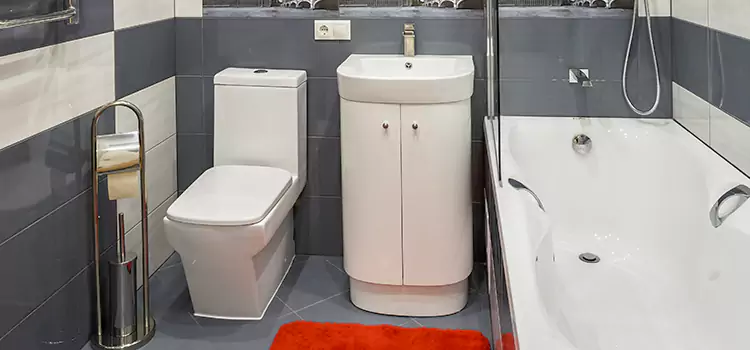 Hansgrohe Shaving Mirror Arlington Heights